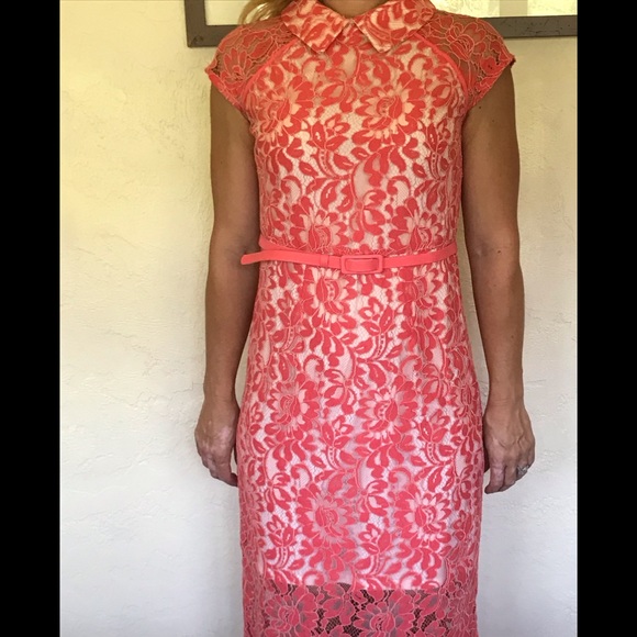 Eva Mendez Lace Sheath dress - Picture 5 of 5